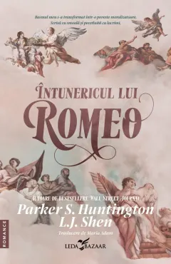 Coperta cărții Intunericul lui Romeo