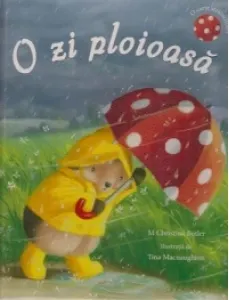Coperta cărții O zi ploioasa
