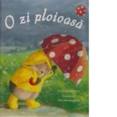 Coperta cărții O zi ploioasa