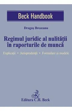 Coperta cărții Regimul juridic al nulitatii in raporturile de munca
