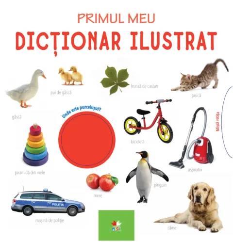 Coperta cărții Primul meu dicționar ilustrat