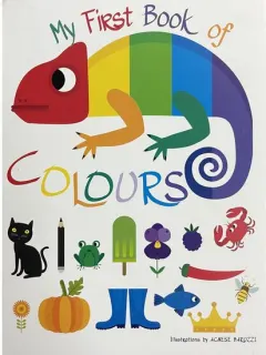 Coperta cărții DAMAGED My First Book of Colours