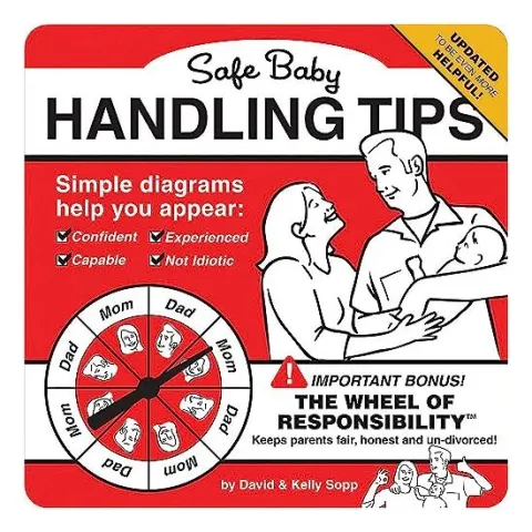 Coperta cărții Safe Baby Handling Tips, David Sopp, Kelly Sopp