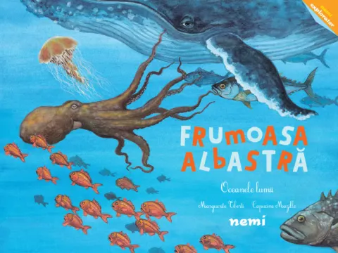 Coperta cărții Frumoasa albastră - Oceanele lumii