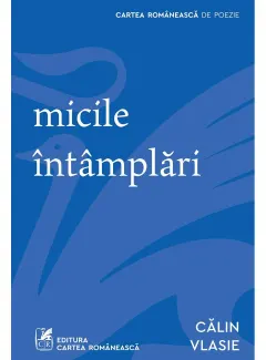 Coperta cărții Micile întâmplări