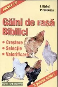 Coperta cărții Gaini de rasa. Bibilici. Crestere, selectie, valorificare