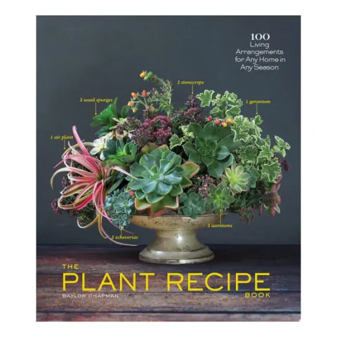 Coperta cărții Baylor Chapman - THE PLANT RECIPE BOOK