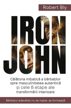 Coperta cărții Iron John