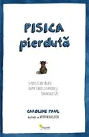 Coperta cărții Pisica pierdută