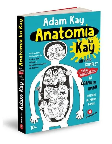 Coperta cărții Anatomia lui Kay
