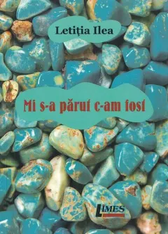 Coperta cărții Mi s-a părut c-am fost