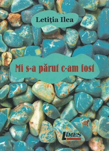 Coperta cărții Mi s-a părut c-am fost