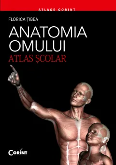 Coperta cărții Anatomia omului. Atlas școlar