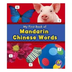 Coperta cărții Mandarin Chinese Words