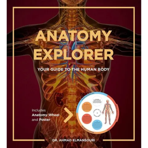Coperta cărții Anatomy Explorer - Your Guide to the Human Body