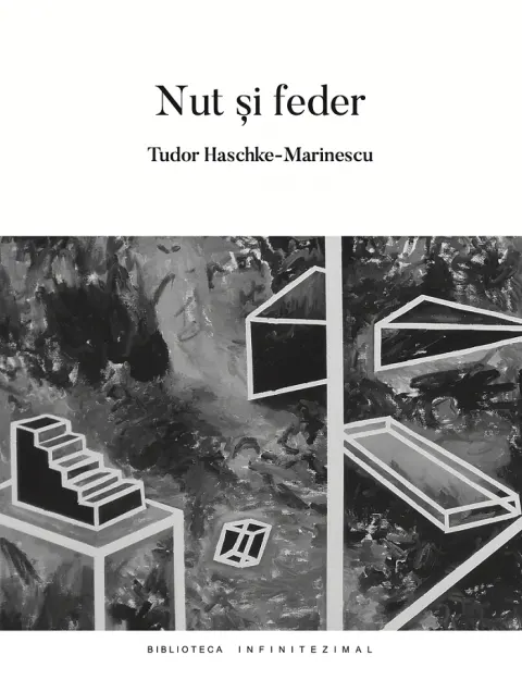 Coperta cărții Nut si feder