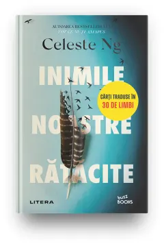 Coperta cărții Inimile noastre ratacite