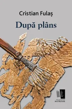 Coperta cărții Dupa plans