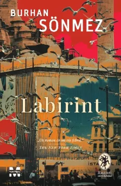 Coperta cărții Labirint