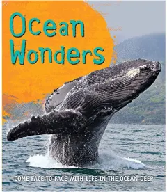 Coperta cărții Ocean wonders