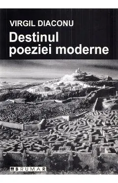 Coperta cărții Destinul poeziei moderne