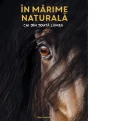 Coperta cărții In marime naturala. Cai din toata lumea