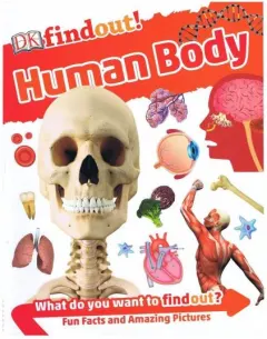 Coperta cărții Dk Findout ! Human Body
