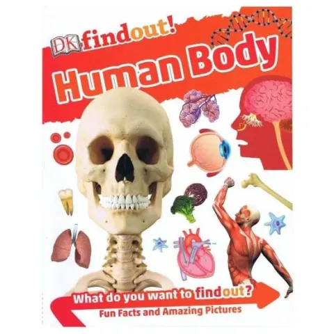Coperta cărții Dk Findout ! Human Body