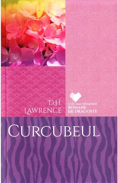 Coperta cărții Curcubeul