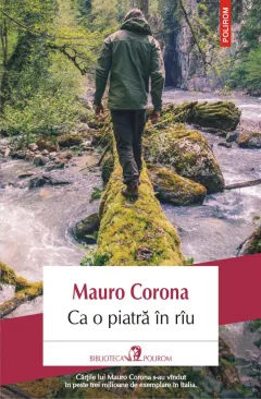 Coperta cărții Ca o piatra in rau