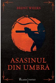 Coperta cărții Asasinul din umbra