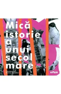Coperta cărții Mică istorie a unui secol mare