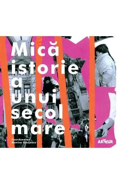 Coperta cărții Mică istorie a unui secol mare