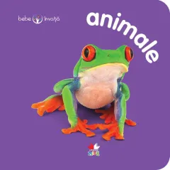 Coperta cărții Animale. Bebe învață