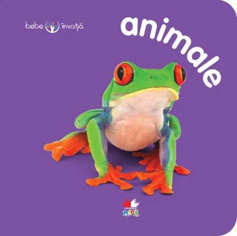 Coperta cărții Animale. Bebe învață