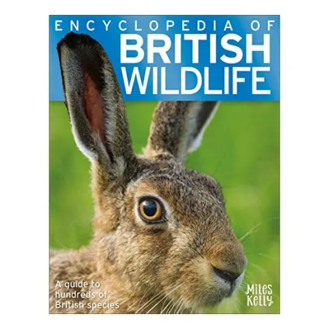 Coperta cărții Encyclopedia of British Wildlife