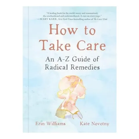 Coperta cărții How to Take Care, Erin Williams, Kate Novotny