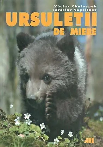 Coperta cărții Ursuletii de miere. Jumatate de an impreuna cu cei trei ursuleti