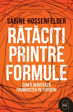 Coperta cărții Rătăciți printre formule. Cum îi derutează frumusețea pe fizicieni (epub)