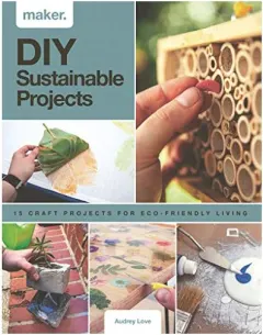 Coperta cărții DIY Sustainable Projects