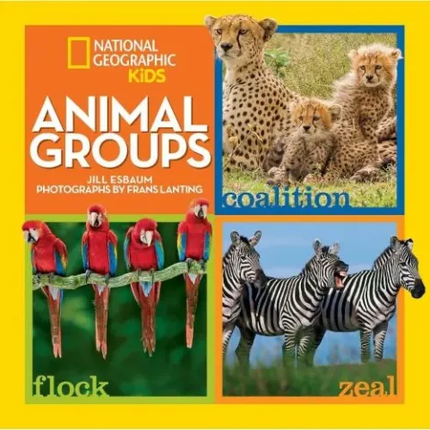 Coperta cărții Animal Groups, Jill Esbaum