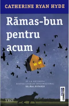 Coperta cărții Rămas-bun pentru acum