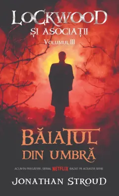 Coperta cărții Baiatul din umbra (seria Lockwood si asociatii, vol. 3)
