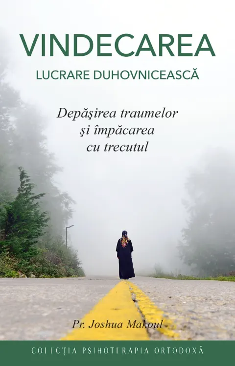 Coperta cărții Vindecarea – lucrare duhovnicească
