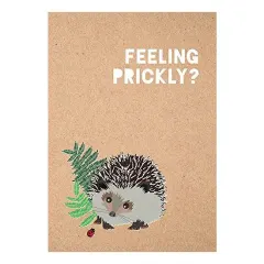 Coperta cărții Feeling Prickly Journal, Matt Garczynski