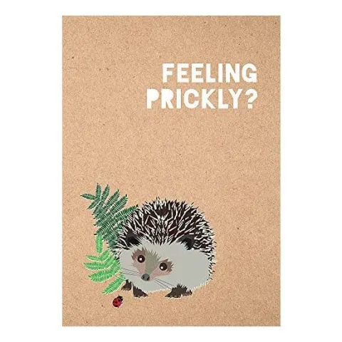Coperta cărții Feeling Prickly Journal, Matt Garczynski
