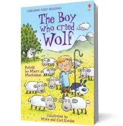 Coperta cărții The Boy Who Cried Wolf FR3