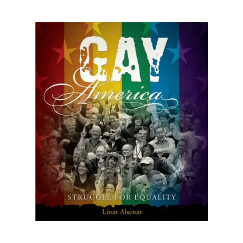 Coperta cărții Gay America: struggle for equality