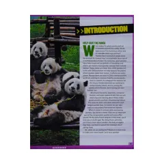 Coperta cărții Panda rescue: all about pandas and how to save them