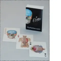 Coperta cărții Netter Playing Cards : Netter's Anatomy Art Card Deck (Single Pack)